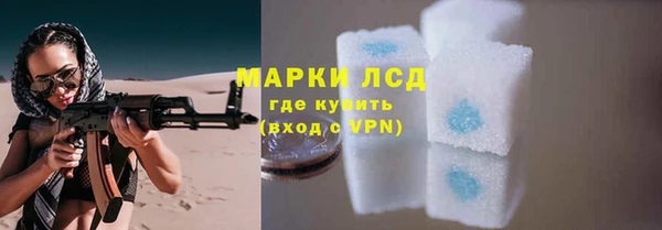 прущие грибы Алексеевка