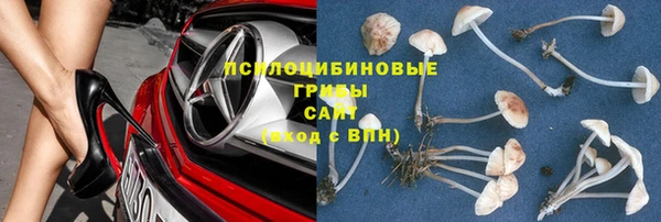 мескалин Абаза
