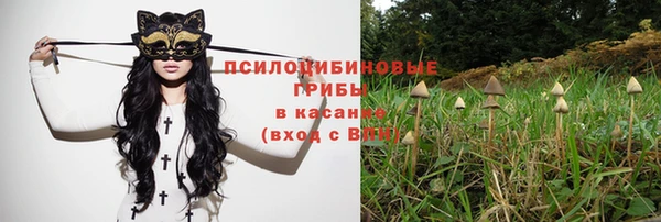 молекула духа Зеленодольск